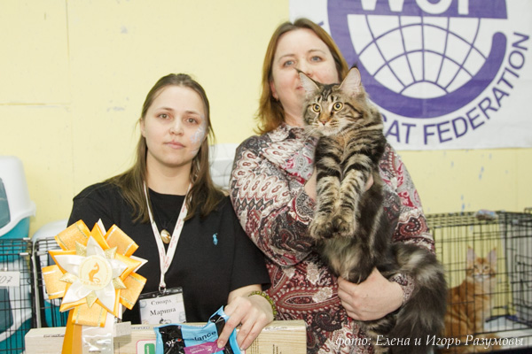 Стюард Марина, Анна Евгеньевна Шиландина и кошка Michelle FOREST DWELLERS.