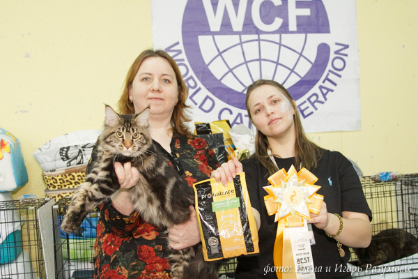 Кошка Michelle FOREST DWELLERS, Анна Евгеньевна Шиландина и стюард Марина.