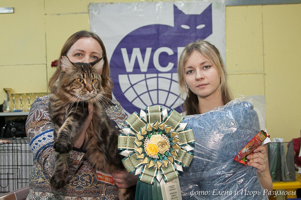 8 – 9 марта 2014 г. На международной выставке кошек г. Казань